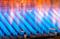 Trehan gas fired boilers